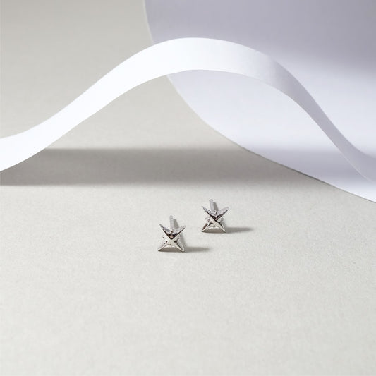 Star shaped earring ER007